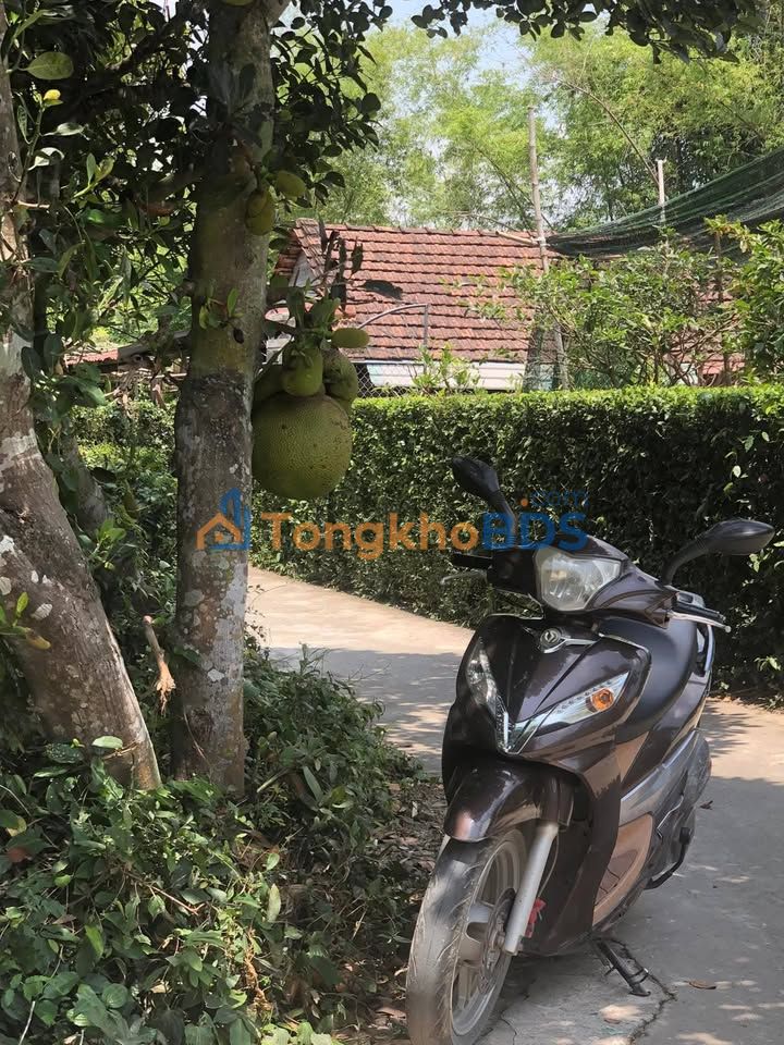 Đất nền Phước Thành, Đức Hòa 200m² giá 500 triệu - Đất thổ cư 100%