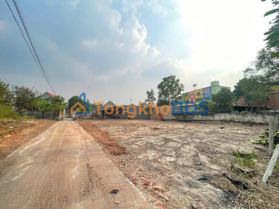 Đất nền An Viễn, Biên Hòa 130m² giá 1.235 tỷ - Sổ hồng sẵn