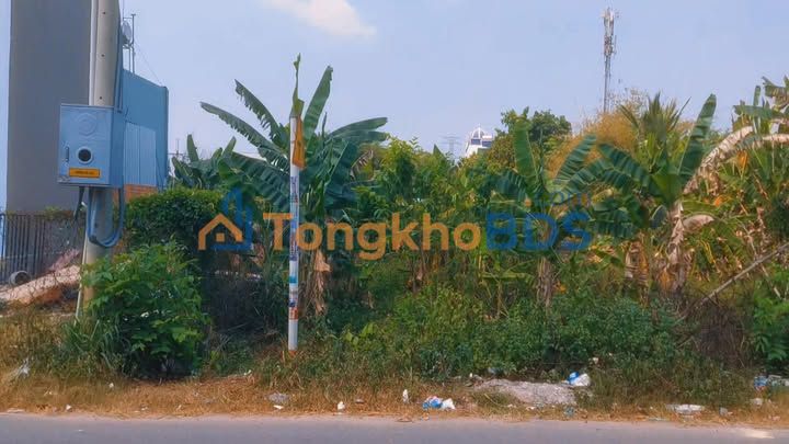 Nhà phố Tân Thạnh Đông Củ Chi 100m² - Mặt tiền kinh doanh