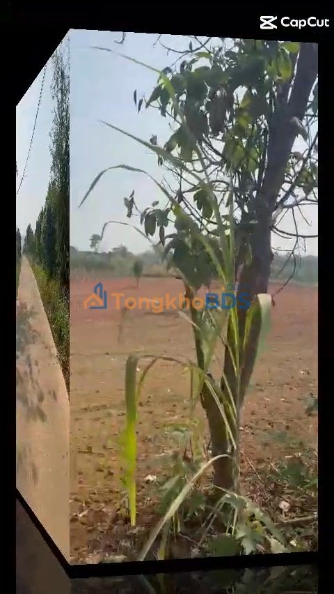 Đất nền Tân Hà, Lâm Hà 1368m² giá 2.28 tỷ - Tiềm năng tăng giá