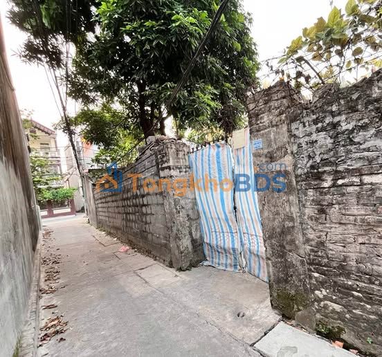 Đất nền P. Trần Hưng Đạo 40m² giá 1,2 tỷ - Tiềm năng tăng giá cao