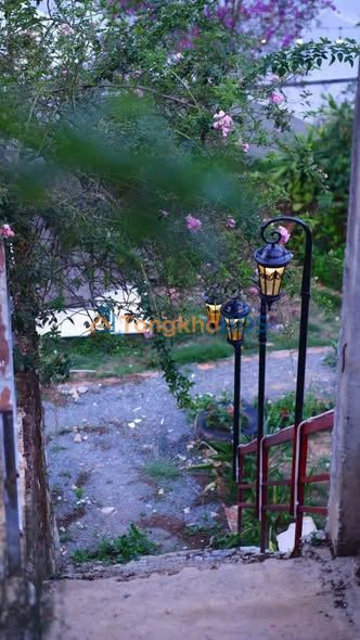 Homestay Phường 3 Đà Lạt 1600m² - Thích hợp KD