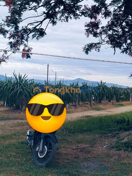 Đất trang trại Bắc Bình Bình Thuận 18ha giá 100 triệu/xào - Giá đầu tư tốt!