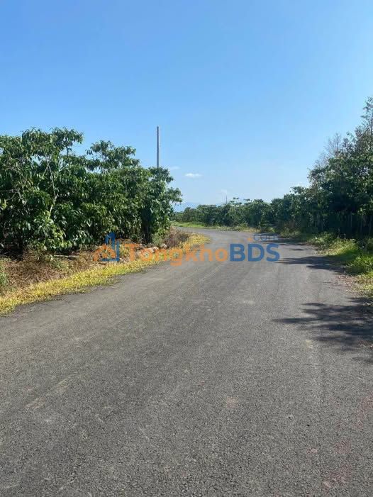 Đất nền hẻm Đoàn Thị Điểm Bảo Lộc 1908m² - Đường to ô tô