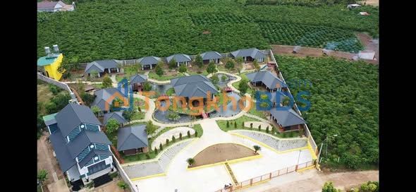 Khu nghỉ dưỡng Lộc Thanh 4000m² giá 22 tỷ - Kinh doanh ngay!