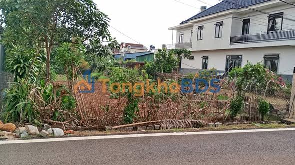 Đất nền Phan Chu Chinh Bảo Lộc 500m² - Đường to ô tô