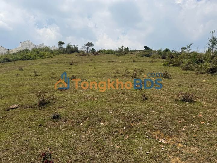 Đất vườn Đạ Nhim 1ha 3.7 tỷ - Sổ đỏ chính chủ