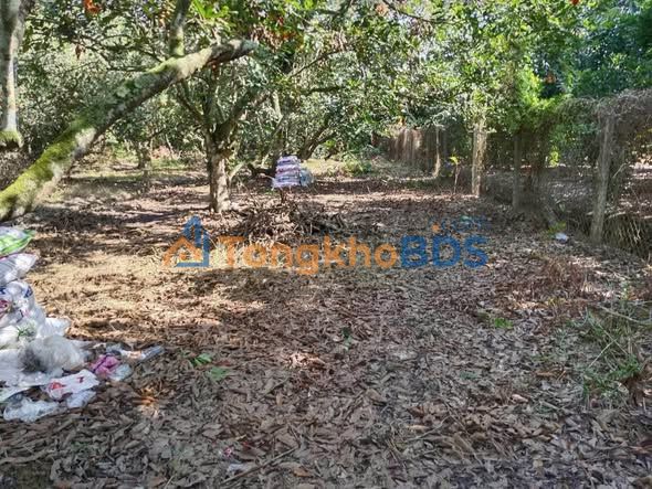 Đất vườn Củ Chi 2081m² giá 5.4 tỷ - Nghỉ dưỡng lý tưởng!