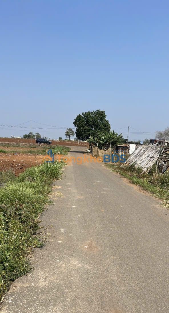 Đất nền Hồ Xuân Hương Liên Nghĩa 300m² - Đất thổ cư 100%