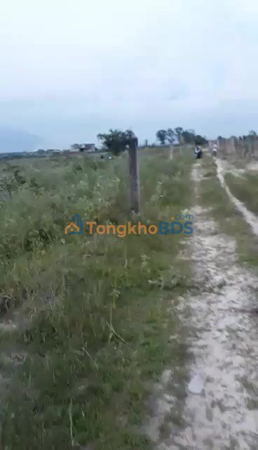 Đất vườn Tân Hải La Gi 1.6ha giá 1.2 tỷ - Tiềm năng tăng giá cao!