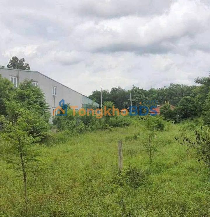 Đất nền Thái Mỹ Củ Chi 447m² - Hạ giá cực sốc!