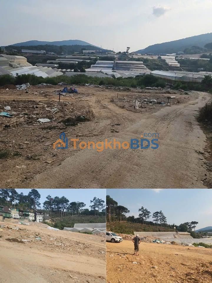 Đất nền P.4 Đà Lạt 4000m² - Đường to ô tô, tiềm năng tăng giá