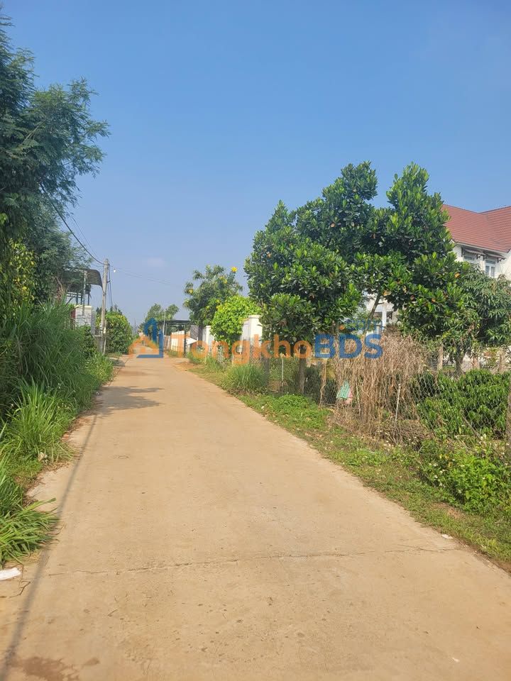 Đất nền Tân Văn Lâm Hà 508m² 2.3 tỷ - Sổ đỏ chính chủ