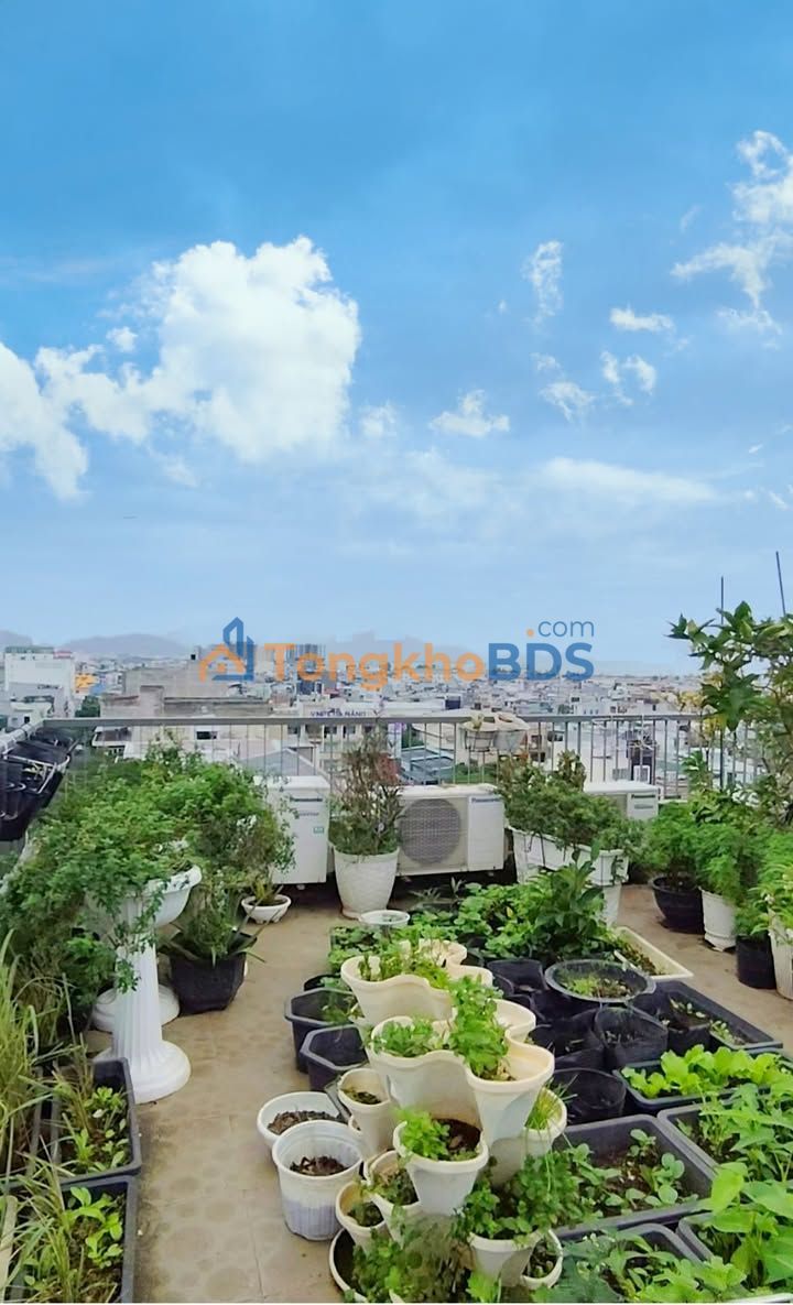 Căn hộ Nại Hiên Đông Sơn Trà 50m² giá 1 tỷ - Bàn giao ngay