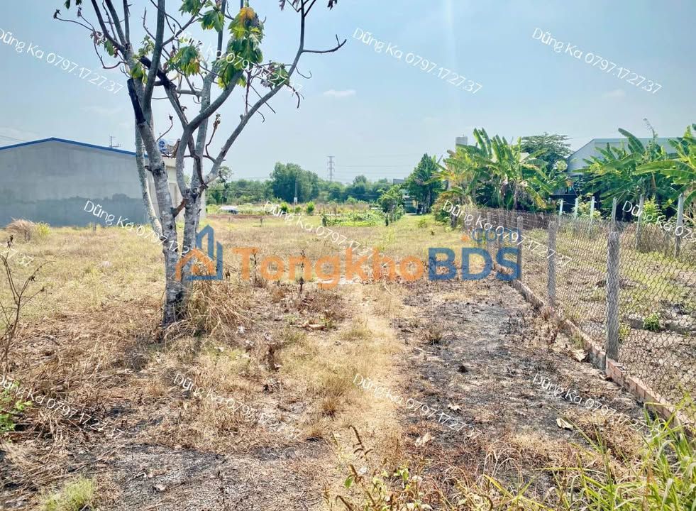 Đất nền Tân An Hội Củ Chi 190m² - Thổ cư 100% giá tốt