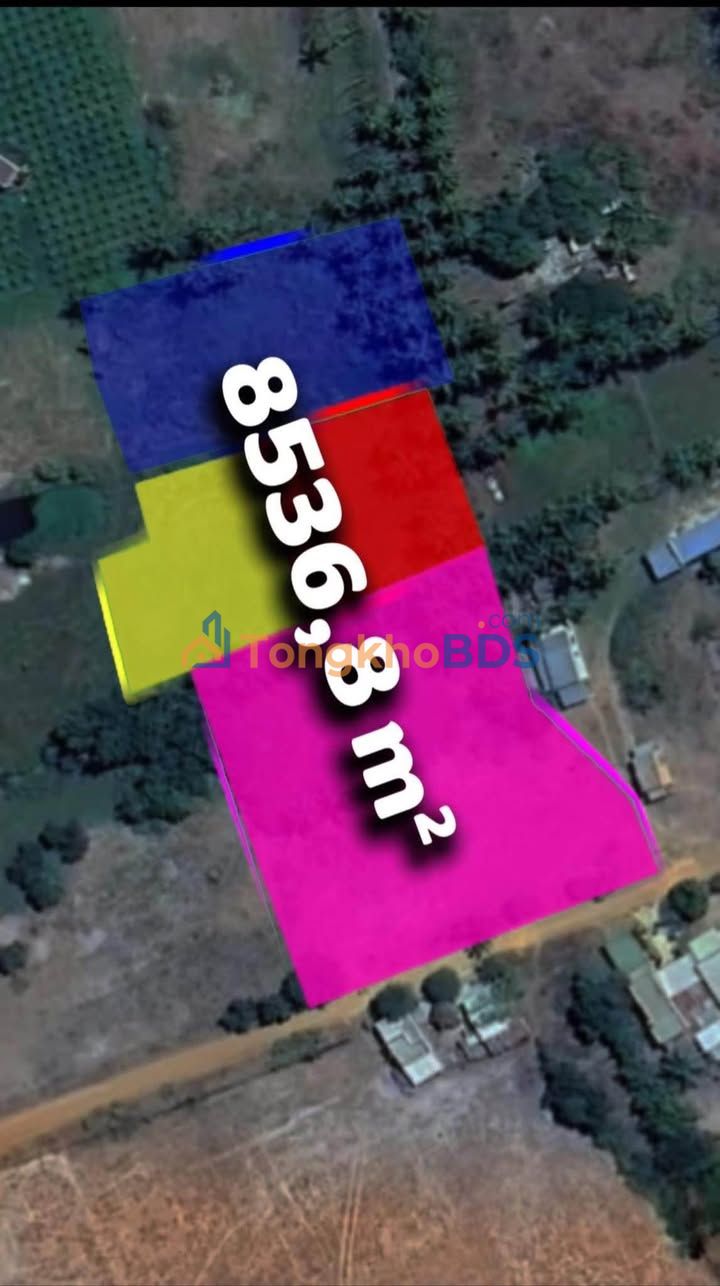 Đất Bình Tân Bắc Bình 8536m² giá 3.5 tỷ - Tiềm năng tăng giá!