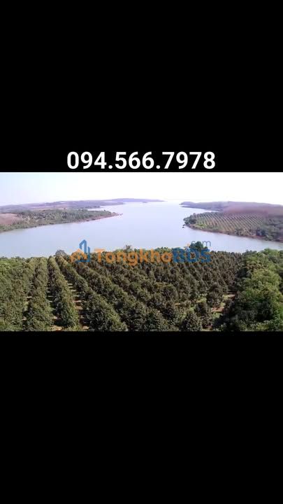 Đất vườn Phú Trung Bù Đăng 1.93ha giá 3 tỷ - View thiên nhiên tuyệt đẹp!