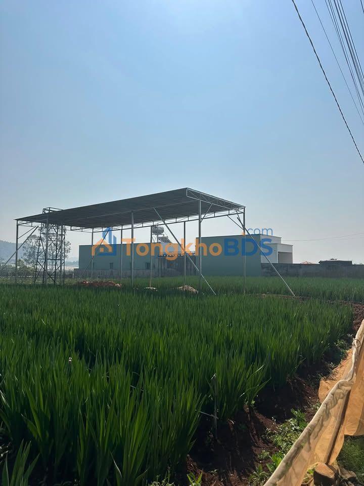 Đất Đạ Ròn, Đơn Dương 138m² từ 600tr - Đường to ô tô