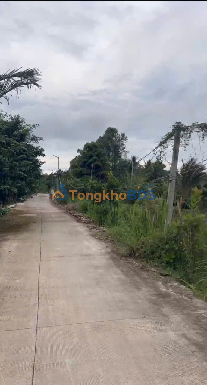 Đất Vườn Đức Hòa 1350m² Sổ Đỏ Thổ Cư - Gần Vành Đai 4, Giá Đầu Tư 2.7 Tỷ