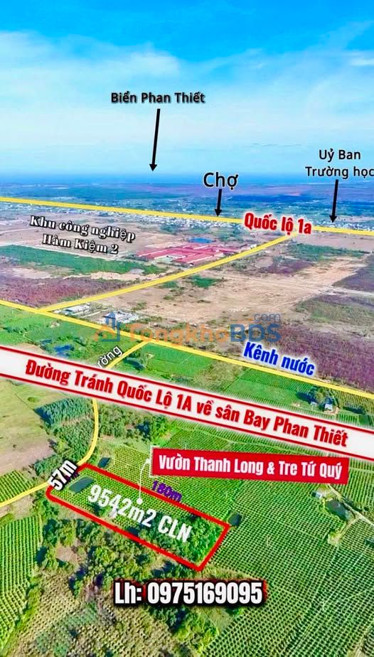 Đất vườn Hàm Kiệm, Bình Thuận 9542m² - 1.9 tỷ - Nghỉ dưỡng lý tưởng