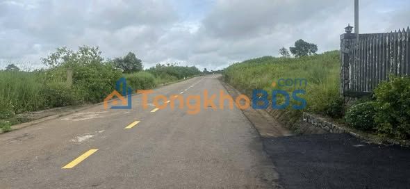 Đất nền Nguyễn Trãi, Phường 2 Bảo Lộc 720m² - Vị trí đắc địa!