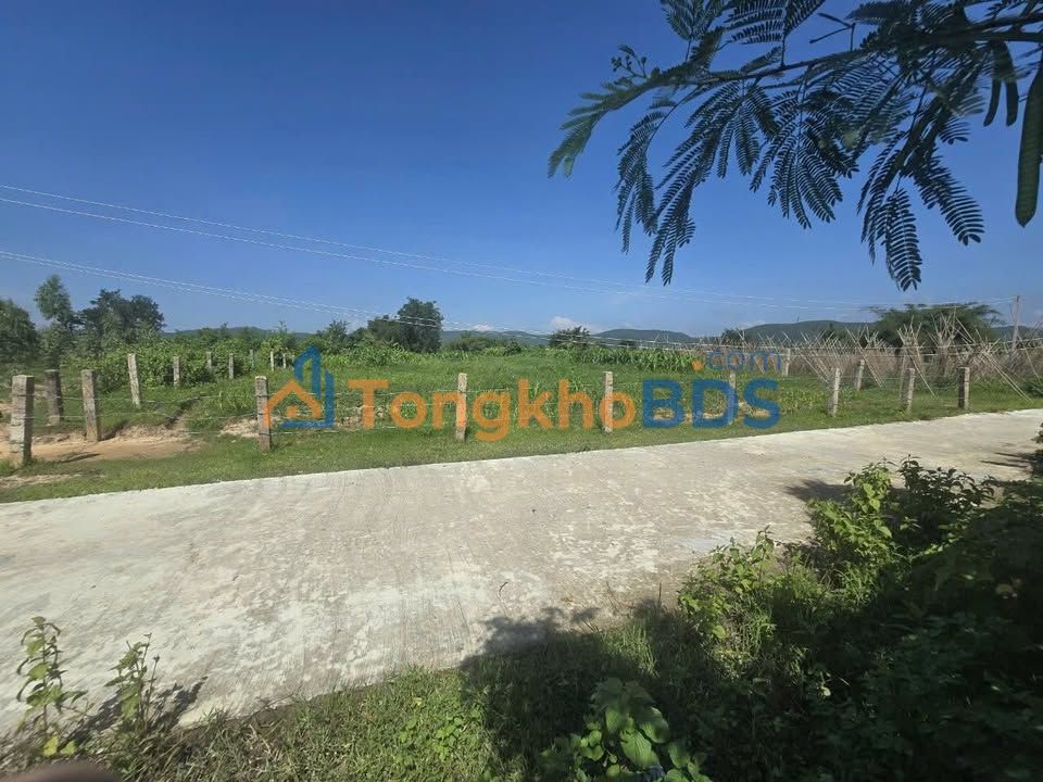 Đất cây trồng Nguyễn Viên 2000m² giá 450tr - Tiềm năng tăng giá