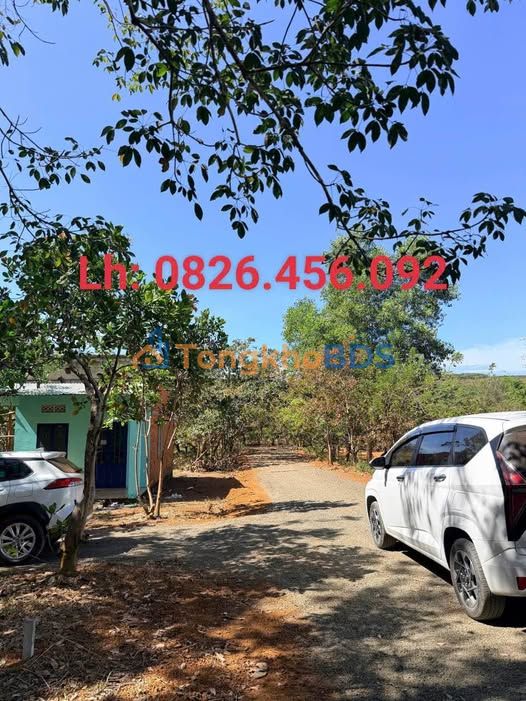 Đất vườn Tân Lợi Đồng Phú 1080m² giá 5xx triệu - Tiềm năng tăng giá!