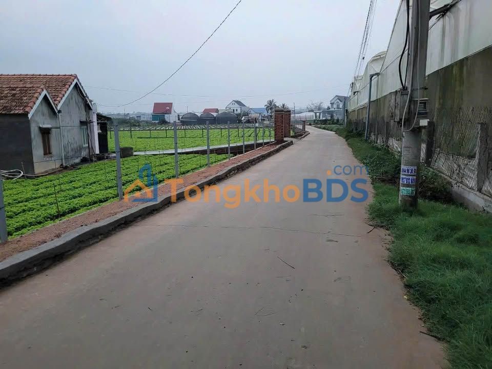 Đất nghỉ dưỡng Thạnh Mỹ 260m² giá 1.25 tỷ - Nghỉ dưỡng lý tưởng!