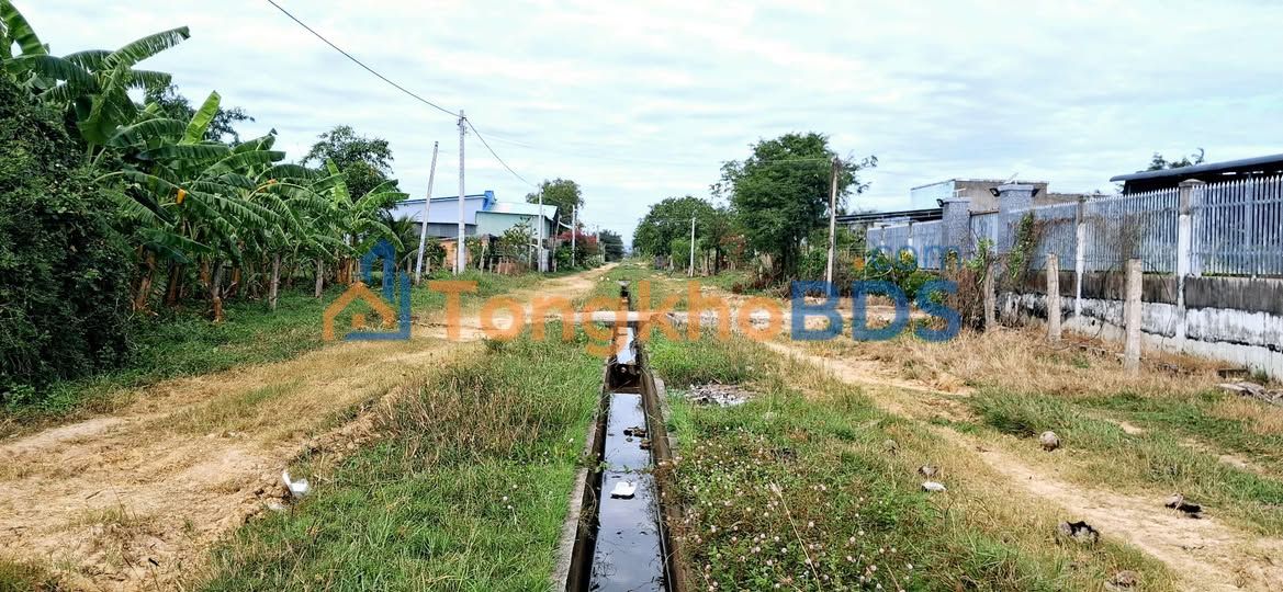 Đất vườn Hàm Liêm Bình Thuận 550m² - Sổ đỏ chính chủ, tiềm năng lớn