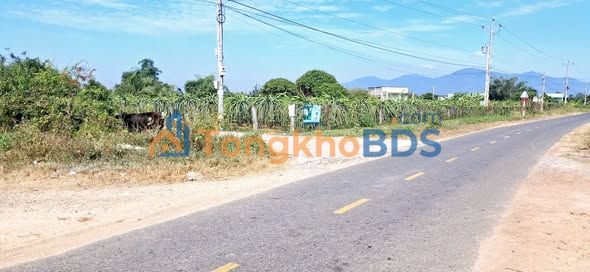 Đất vườn Hàm Liêm 7360m² giá 690 triệu - Tiềm năng tăng giá