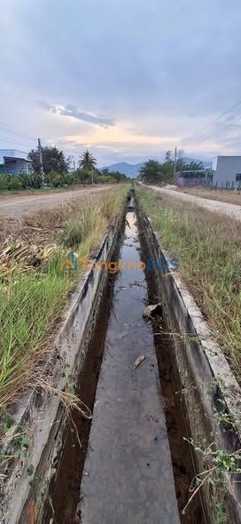 Đất nền Hàm Liêm 972m² giá 1.053 tỷ - Tiềm năng tăng giá!