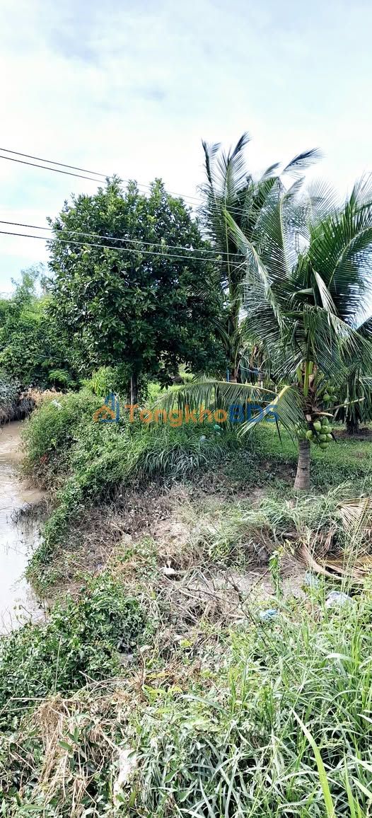 Đất vườn Hàm Liêm 720m² - Tiềm năng tăng giá cực lớn!