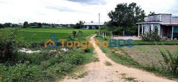 Đất vườn Hàm Liêm 2160m² giá 960 triệu - Sổ đỏ chính chủ