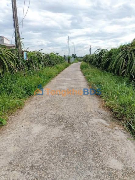 Đất nền Hàm Thắng Đức Trọng 2 sào giá 2.2 tỷ - Tiềm năng cao