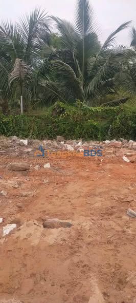 Đất nền Võ Văn Tần, La Gi 105m² giá 1.35 tỷ - Đường ô tô tận nơi!