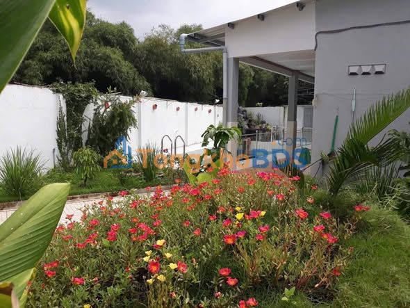 Nhà vườn Phú Hòa Đông Củ Chi 300m² giá 1.5 tỷ - Nghỉ dưỡng ngay!