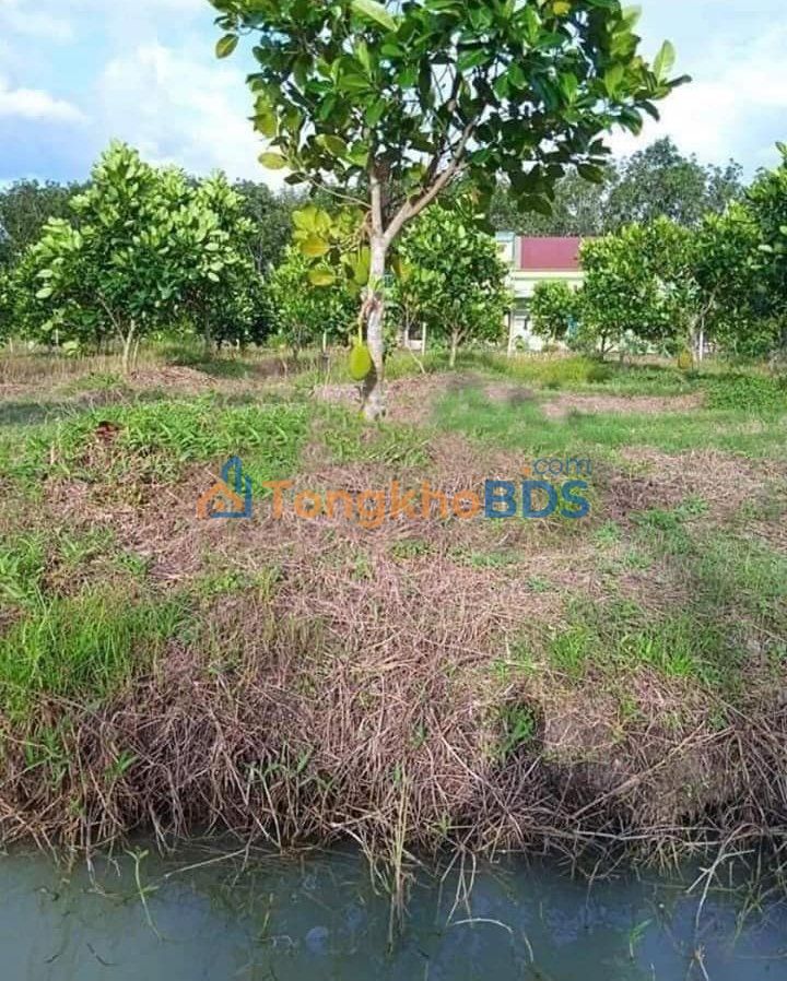 Đất vườn Mương Mán 1,4ha MT đường, view suối