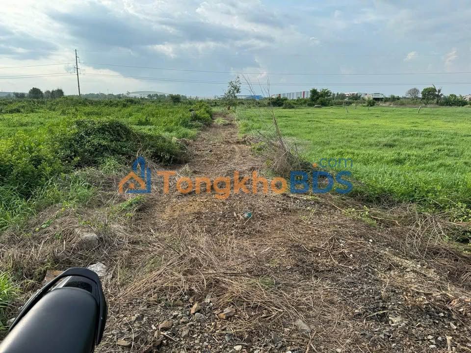 Đất nền Hàm Mỹ 1700m² giá 1 tỷ - Tiềm năng tăng giá cực lớn!