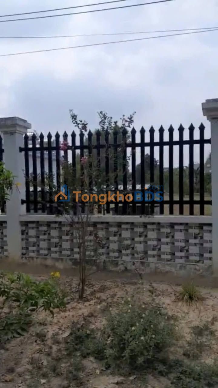 Đất nền Đường 793 Củ Chi 1.196m² giá 5 tỷ - Sổ đỏ chính chủ