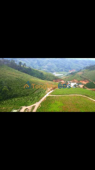 Đất vườn Lâm Hà 100ha giá 200tr/sào - Tiềm năng đầu tư cực lớn!
