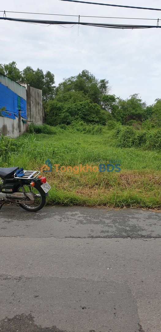 Đất nền Tân An Hội Củ Chi 446m² giá 4,8 tỷ - Pháp lý rõ ràng