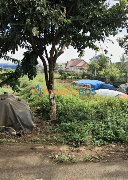 Đất nền Đức Trọng 290m² giá 5.3 tỷ - Hạ tầng hoàn thiện, vị trí đẹp!