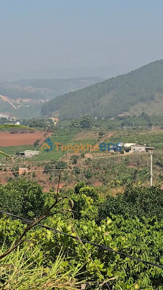 Đất nghỉ dưỡng Lạc Dương 8.900m² giá hơn 4 tỷ - Nghỉ dưỡng lý tưởng!