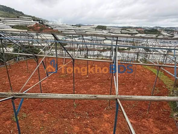 Đất vườn Lạc Dương 5000m² giá 5.25 tỷ - Sổ đỏ chính chủ