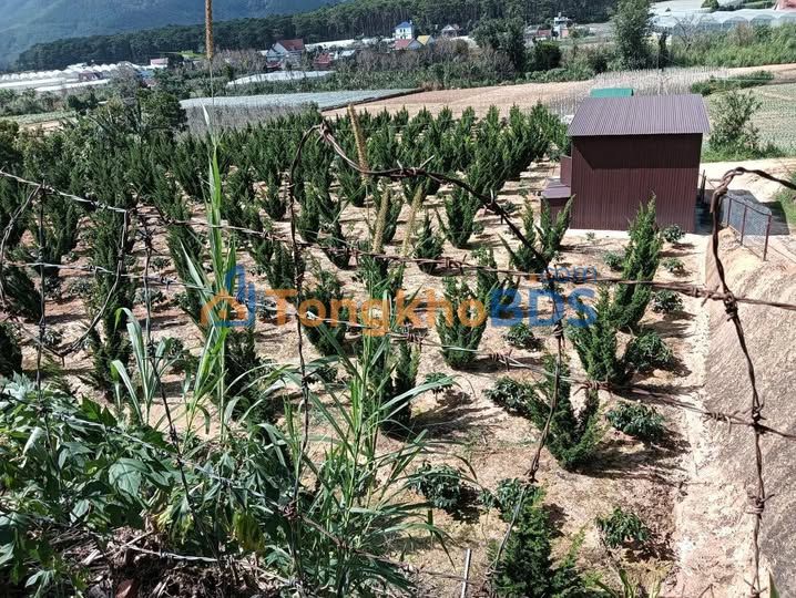 Đất nền Thị trấn D'Ran 400m² giá 3.2 tỷ - Sổ đỏ chính chủ