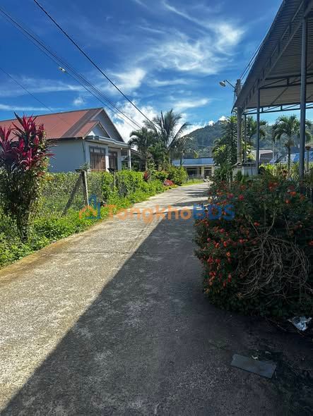 Đất nền D'Ran Đơn Dương giá 1xx triệu/m ngang - Tiềm năng cao