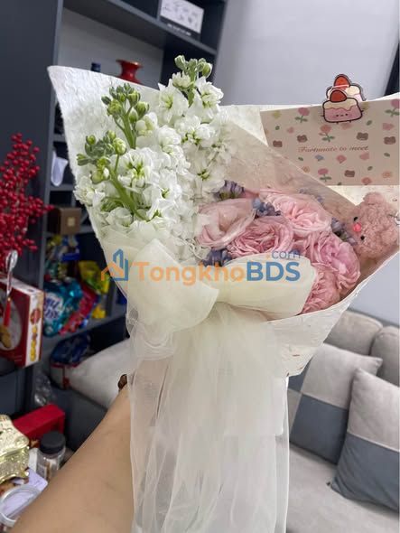 Nhà phố Phạm Ngũ Lão 86m² - Dòng tiền ổn định, kinh doanh đắc địa