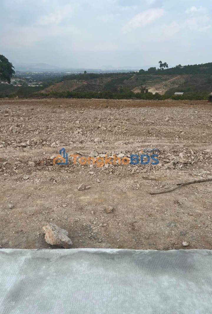 Đất nền Tân Văn Lâm Hà 1000m² giá 600 triệu - Tiềm năng tăng giá!
