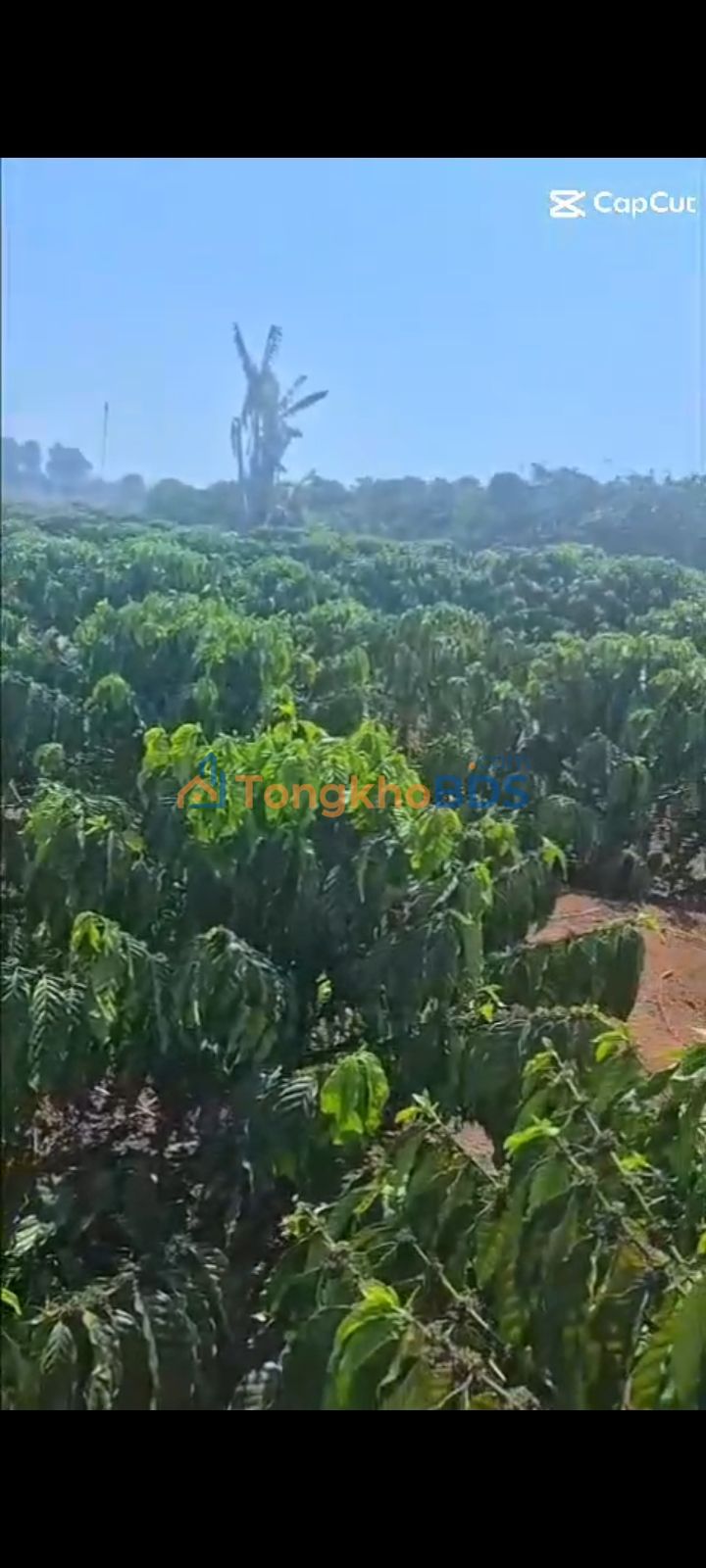 Đất cà phê Tân Hà, Lâm Hà 1.440m² - Sinh thái xanh!