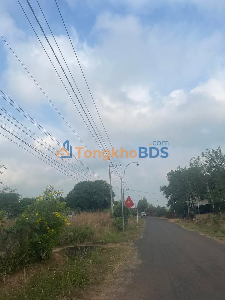 Đất dự án Chơn Thành 5ha giá thỏa thuận - Tiềm năng tăng giá!